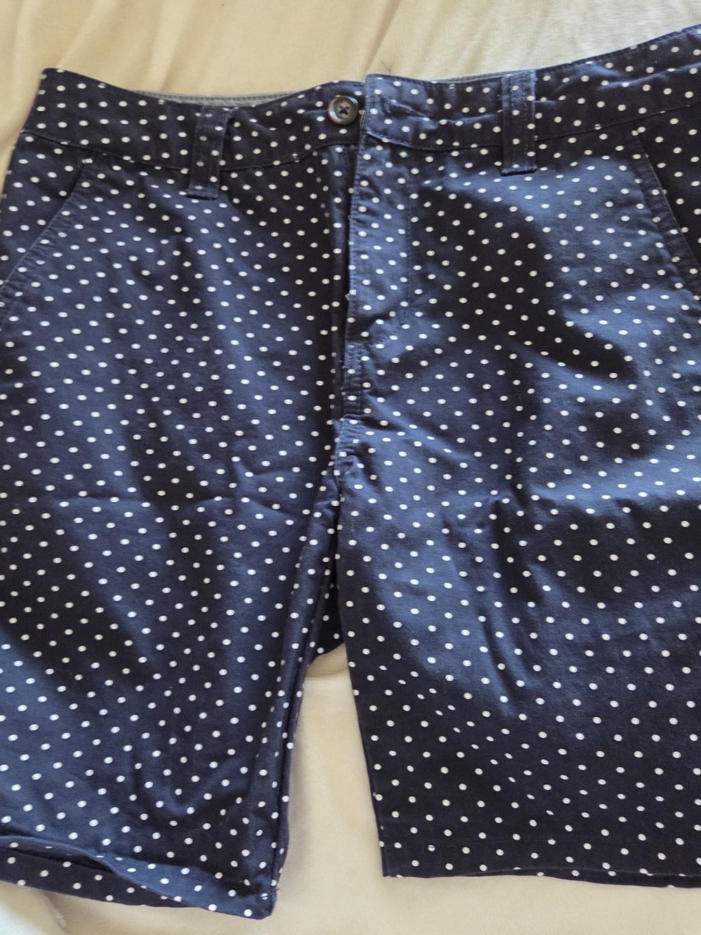21men Navy Polka Dot Men's Shorts